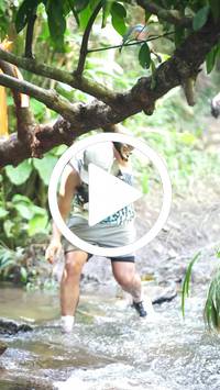 BIB:  <button type="button" onclick="openModal(27824337)" class="btn btn-primary btn-sm float-right" data-toggle="modal" data-target=".modal-high-quality">
                <i class="fa fa-download"></i> Download
                </button>